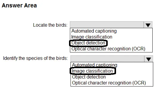 Answer figure for AI-900 question 135